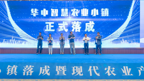 圖片1 圖片1